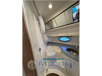 STAMA 37 OPEN