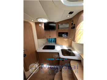 STAMA 37 OPEN
