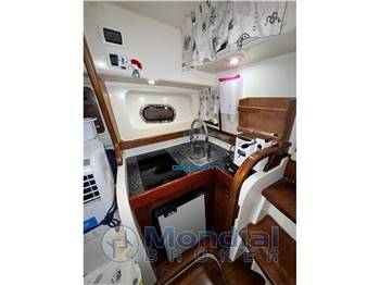 GAGLIOTTA GAGLIARDO 37