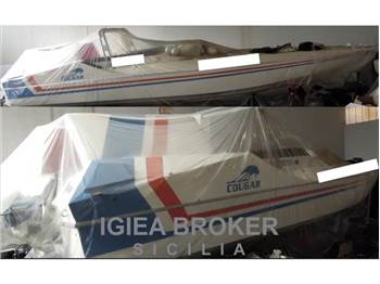 Cougar 38